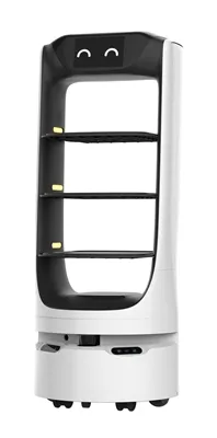 Feidhmchláir Fhairsingeacha Robots Seachadta REEMAN i dTíortha Gloab